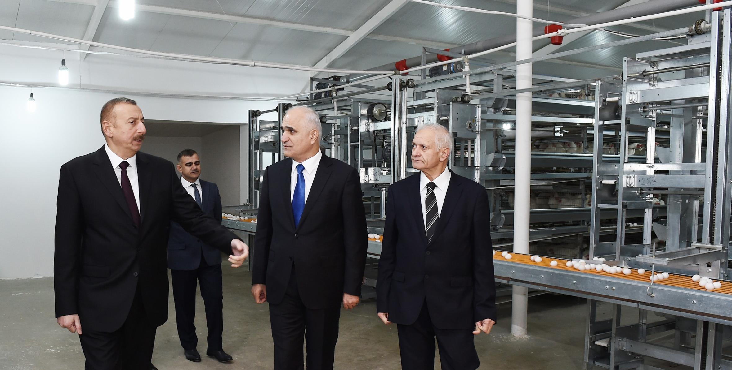Prezident İlham Əliyevin fabrik ziyarəti